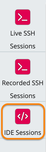 Screenshot of ide sessions menu option highlighted in the permissions menu.