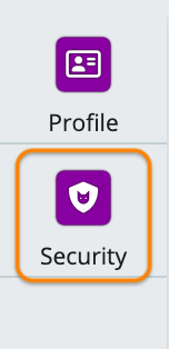 Screenshot of security menu option highlighted in the user preferences menu.